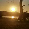 thatty025