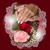user730129331