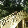 tn.nguyn7396