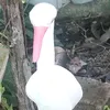 tipotipo67