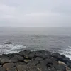 connorcarv125
