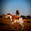 the_feralcowboy