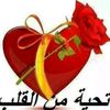 user69lvp7y4ts