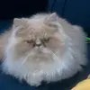 _fredericooo