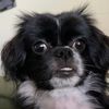booger_snack