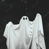 fantasma_173