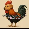 kareem029484