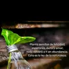 ximenis05