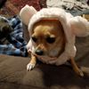 nanaof5littles