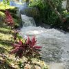 edyeman_7188