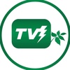 TV Thunder