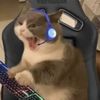 mikel0vesmusic