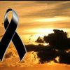 user16161063
