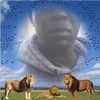 anthonygordon24