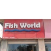 fish_world_budaiya2