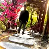 hoanghau14qn
