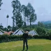 damw11