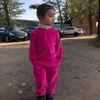 user887521