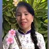 nguythanh0311
