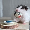 meatie_hamster