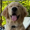 goldenboypepito