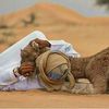 saqralsawarkaabujarabi