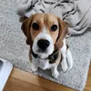 maxmarcusm