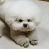 mystormi