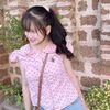 m._.11nov