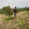 88hieunguyen_789