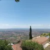 antonellasilvest2