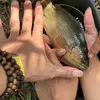 anhhuythuysan