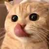anakbungsu_008