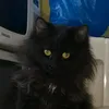 caxarok_152