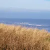 teresajoan90