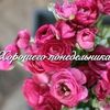 user172365072