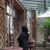 ibunyadipta68