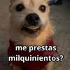 paolasegura21