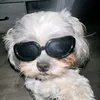 xxnevergavadamnxx