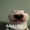 eugabrielbraznogueira