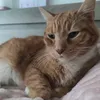 nini_laqueen5