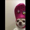 nattymartins62