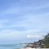 candynguyen91