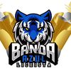 Banda Azul Liceista 💙