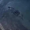tickitytockityfuckityoff