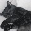alex_m_buche12