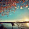 www.tiktok.comjanaina8