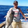 kiwi_steve16