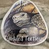 thetumbledtortoise