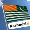 kashmiri.486